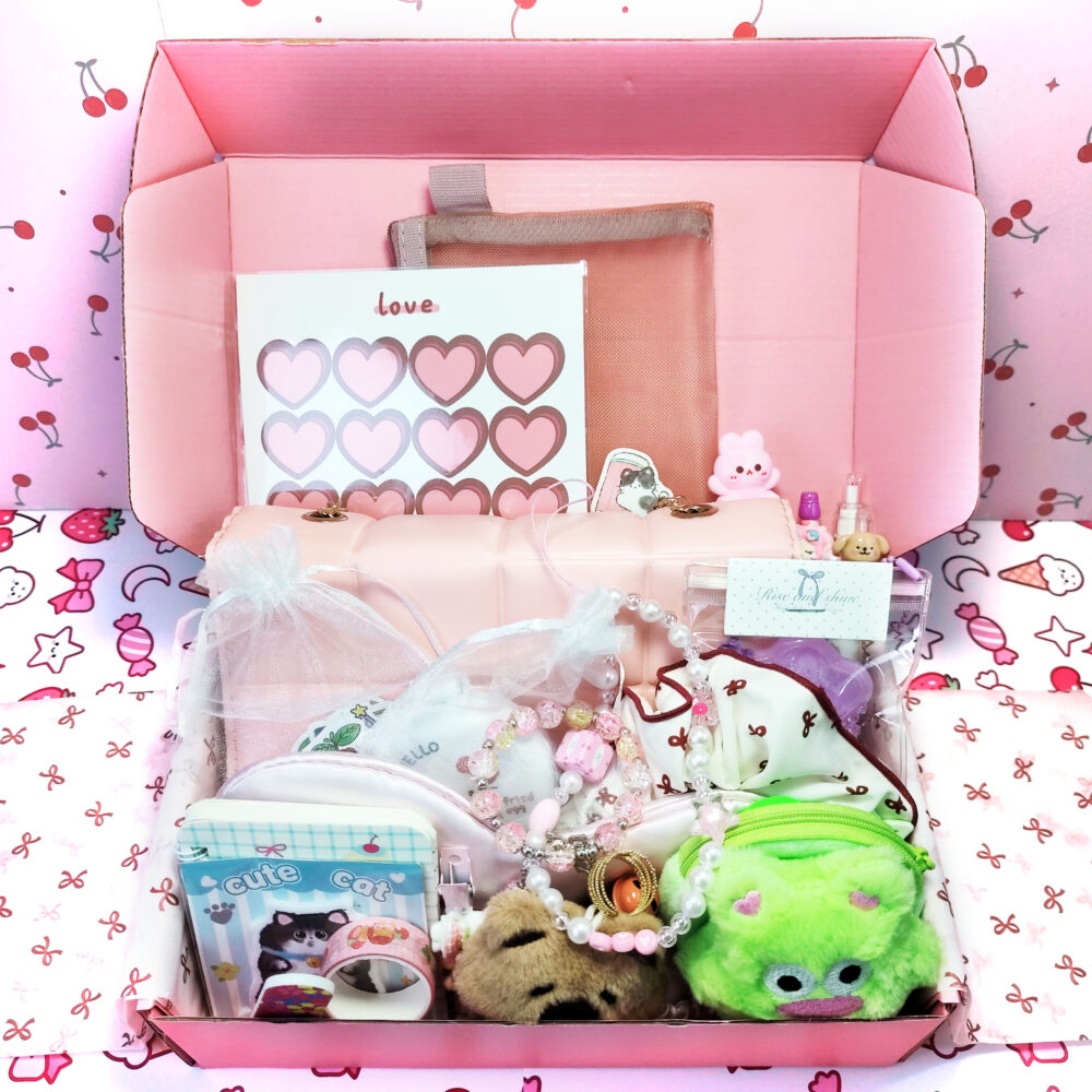 Bag Bundle Gift Box – 25+ Items!