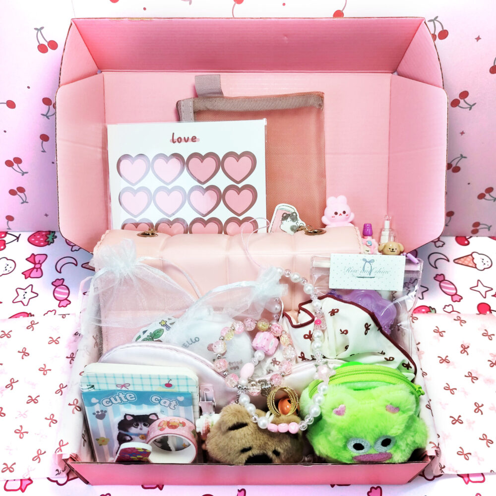 Bag Bundle Gift Box – 25+ Items!