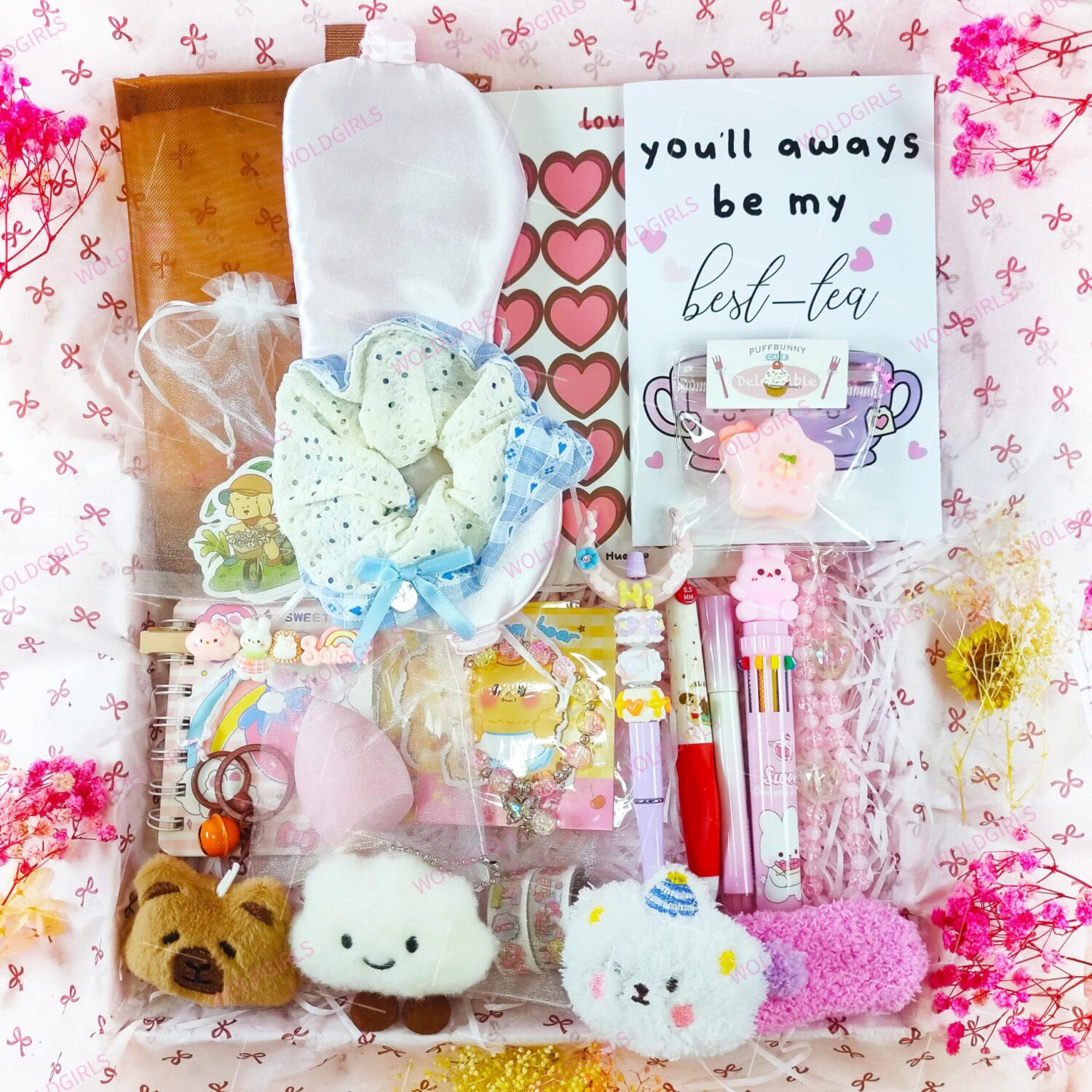 WoldGirls Gift Box - 25+ Items!